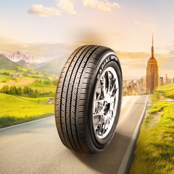 威狮轮胎  舒适型轿车胎 RP18系列 舒适型 205/55R16 91V 