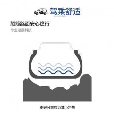 威狮轮胎  舒适型轿车胎 RP18系列 舒适型 205/55R16 91V 